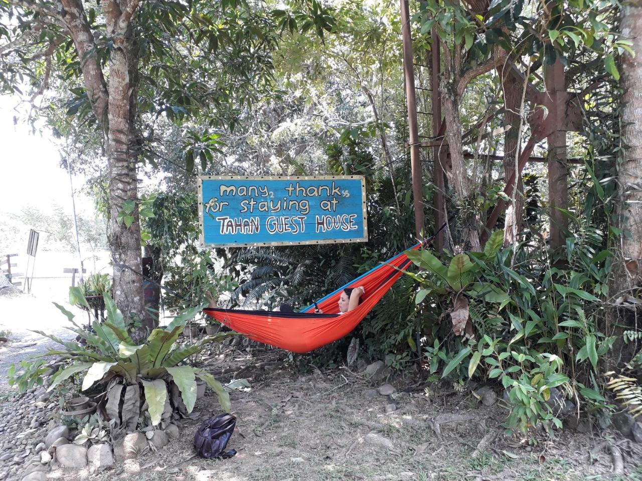 Tahan Guest House Kuala Tahan Exterior foto